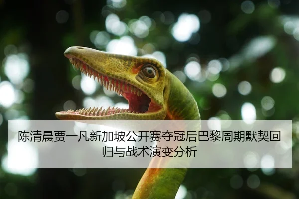陈清晨贾一凡新加坡公开赛夺冠后巴黎周期默契回归与战术演变分析
