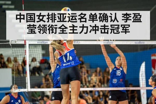 volleyball spike action