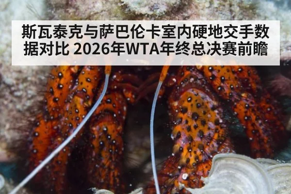 斯瓦泰克与萨巴伦卡室内硬地交手数据对比 2026年WTA年终总决赛前瞻